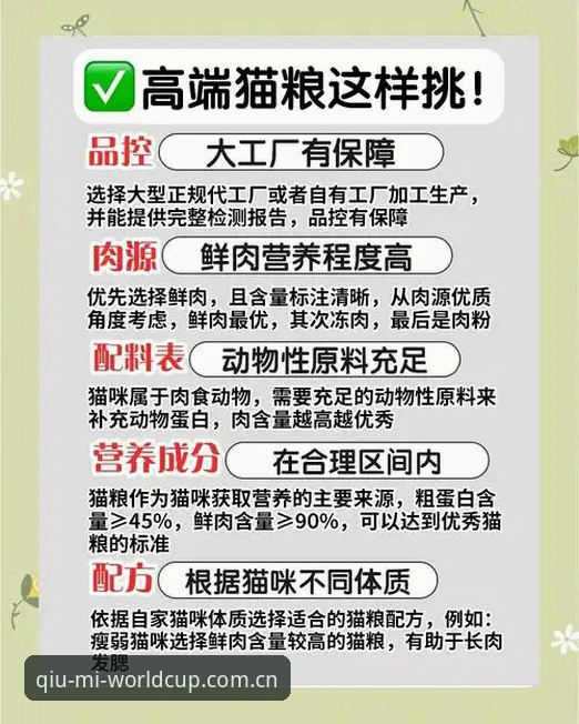 世界杯体育平台入口变更通知对比详解：老用户教你避开更新误区
